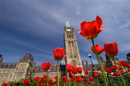 Littératie financière : Ottawa cible en priorité les aînés