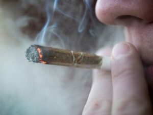 Les employeurs mal préparés pour la légalisation du cannabis