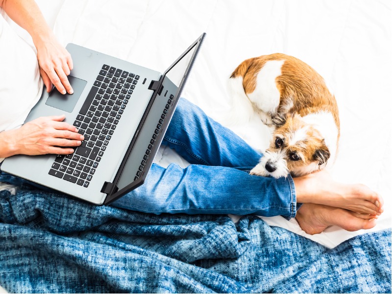 Un homme qui travaille sur son ordinateur dans son lit, son chien est à côté de lui.